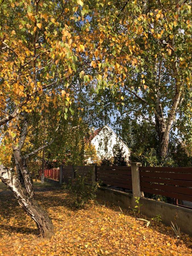 Veranda Apartman Nyiregyhaza Exterior foto