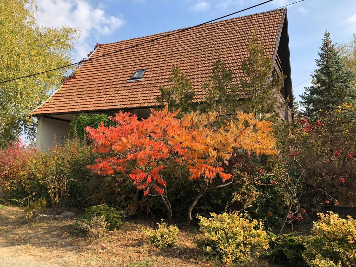 Veranda Apartman Nyiregyhaza Exterior foto
